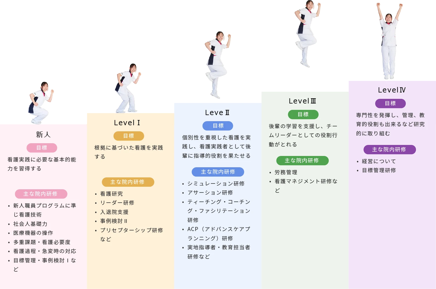 ラダー制度の内容